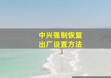 中兴强制恢复出厂设置方法