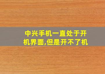 中兴手机一直处于开机界面,但是开不了机