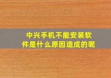 中兴手机不能安装软件是什么原因造成的呢