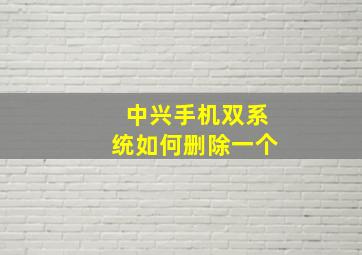 中兴手机双系统如何删除一个