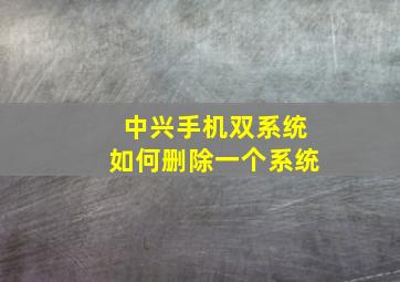 中兴手机双系统如何删除一个系统