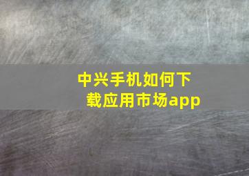 中兴手机如何下载应用市场app