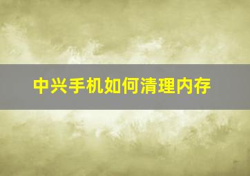 中兴手机如何清理内存