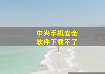 中兴手机安全软件下载不了