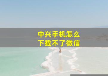 中兴手机怎么下载不了微信