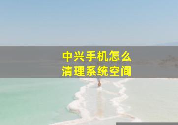 中兴手机怎么清理系统空间