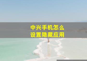 中兴手机怎么设置隐藏应用