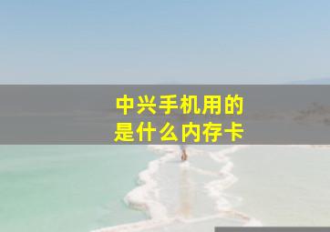 中兴手机用的是什么内存卡