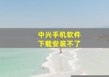 中兴手机软件下载安装不了