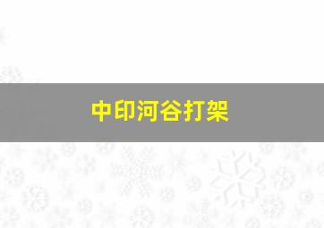 中印河谷打架