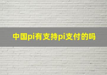 中国pi有支持pi支付的吗