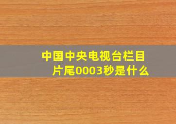 中国中央电视台栏目片尾0003秒是什么