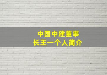 中国中建董事长王一个人简介