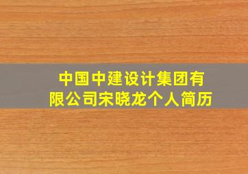 中国中建设计集团有限公司宋晓龙个人简历