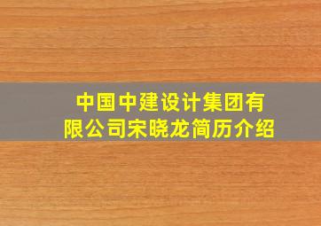 中国中建设计集团有限公司宋晓龙简历介绍