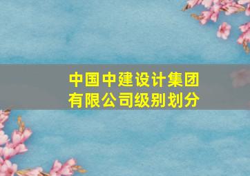 中国中建设计集团有限公司级别划分