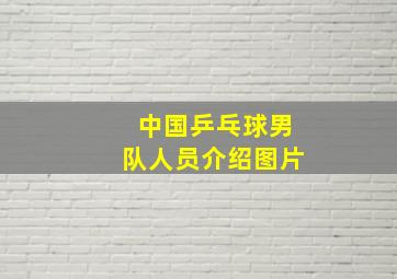 中国乒乓球男队人员介绍图片