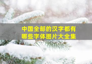 中国全部的汉字都有哪些字体图片大全集