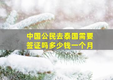 中国公民去泰国需要签证吗多少钱一个月