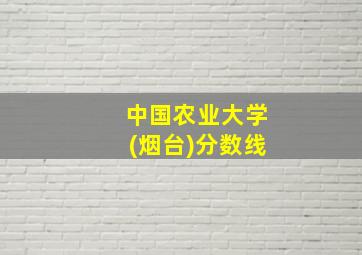 中国农业大学(烟台)分数线