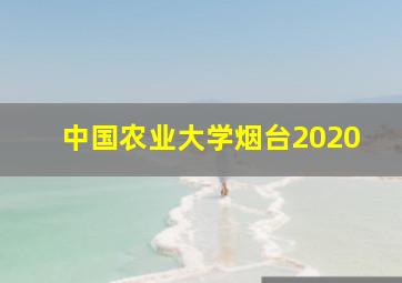 中国农业大学烟台2020