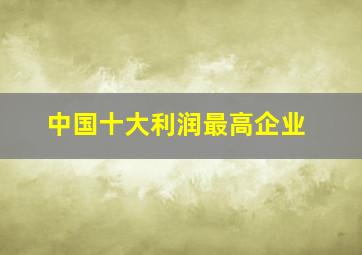 中国十大利润最高企业