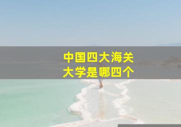 中国四大海关大学是哪四个