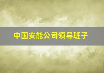 中国安能公司领导班子