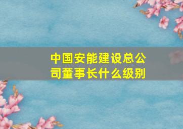 中国安能建设总公司董事长什么级别