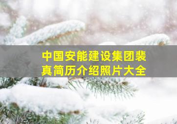 中国安能建设集团裴真简历介绍照片大全