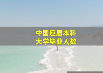 中国应届本科大学毕业人数