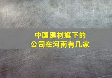 中国建材旗下的公司在河南有几家