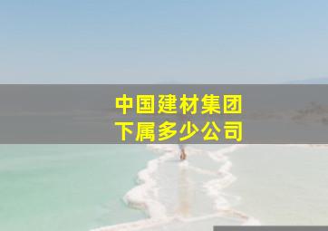 中国建材集团下属多少公司