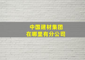 中国建材集团在哪里有分公司