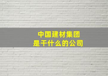 中国建材集团是干什么的公司