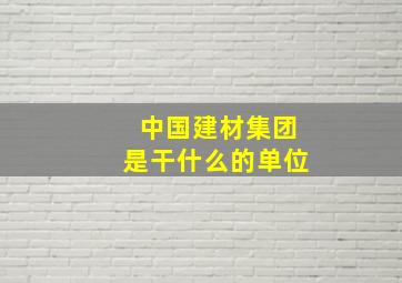 中国建材集团是干什么的单位