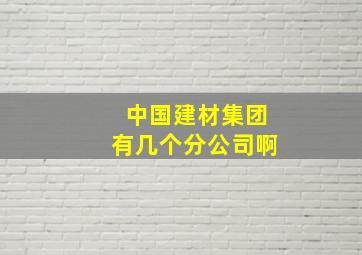 中国建材集团有几个分公司啊