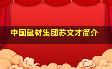 中国建材集团苏文才简介