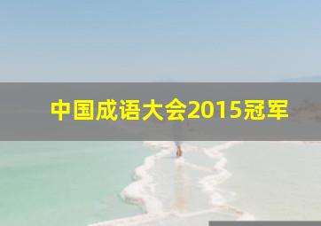 中国成语大会2015冠军