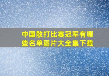 中国散打比赛冠军有哪些名单图片大全集下载