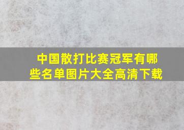 中国散打比赛冠军有哪些名单图片大全高清下载