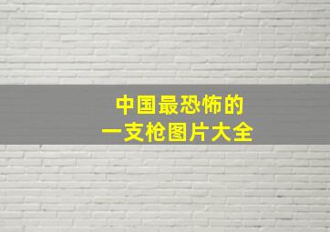 中国最恐怖的一支枪图片大全