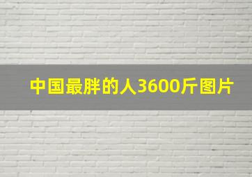 中国最胖的人3600斤图片