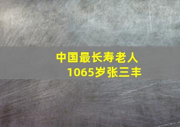 中国最长寿老人1065岁张三丰