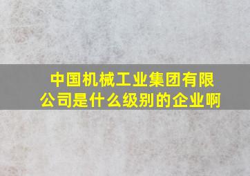 中国机械工业集团有限公司是什么级别的企业啊