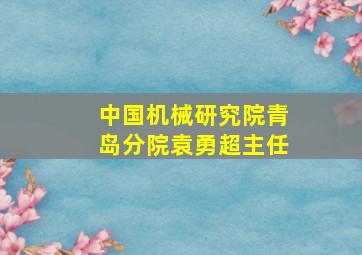 中国机械研究院青岛分院袁勇超主任