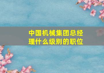 中国机械集团总经理什么级别的职位