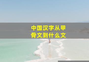 中国汉字从甲骨文到什么文