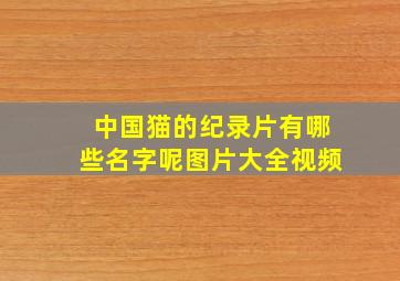 中国猫的纪录片有哪些名字呢图片大全视频