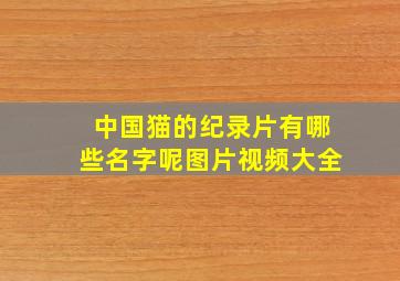 中国猫的纪录片有哪些名字呢图片视频大全